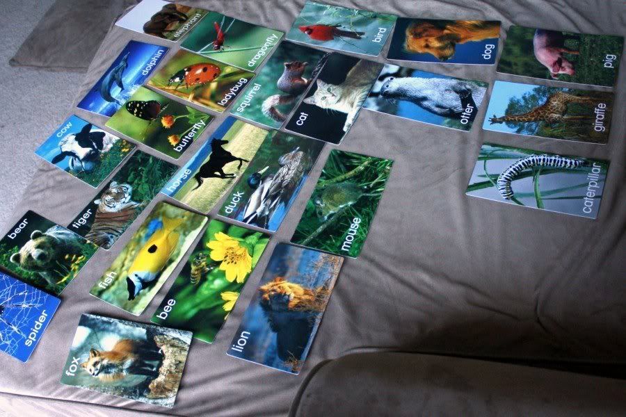 Baby Einstein Animal Cards Printable Cards